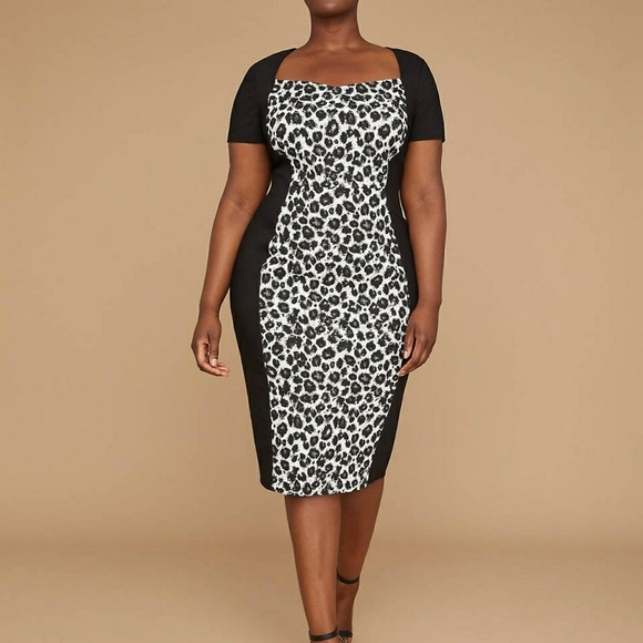 Lane Bryant Dresses & Skirts - Lane Bryant Black Cream Colorblock Plus Size Dress
